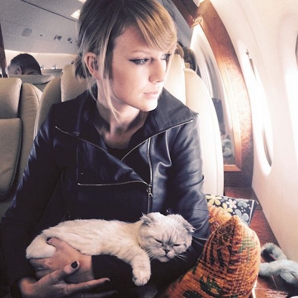 Taylor Swift responds to a fan who criticized her for frequently kissing and being seen with her cat, stating, “I can’t be without my cat, Travis,” emphasizing the importance of her feline companion in her life...