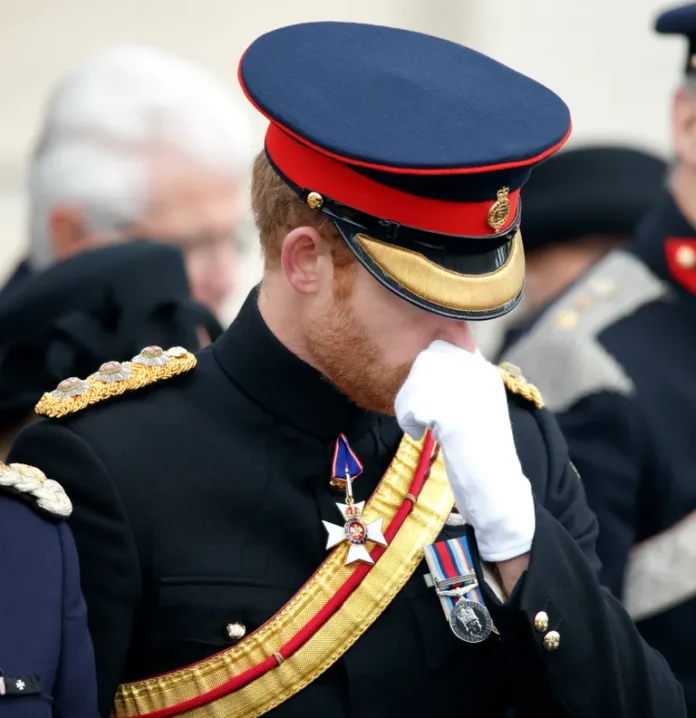So Saddened : Prince Harry Was purportedly 