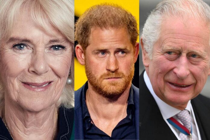 Prince Harry's connection with the British Royal Family is strained because Queen Camilla forbids him from having private conversations with King Charles, citing concerns about trust and possible health information breaches.