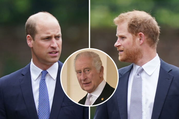 Royal Tension: Controversy On Who could be Worthy and qualify to be the next King: Who will you rather chose as the next King. King Charles Questioned...Prince William or Prince Harry,who do you want as the new King?